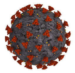新冠病毒球状模型图