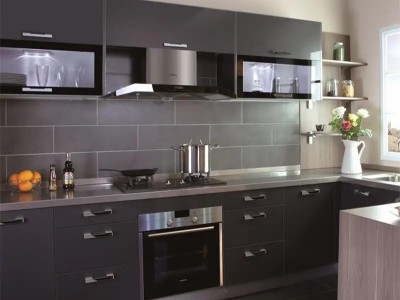 《住宅不锈钢整体厨柜应用技术规程》过审